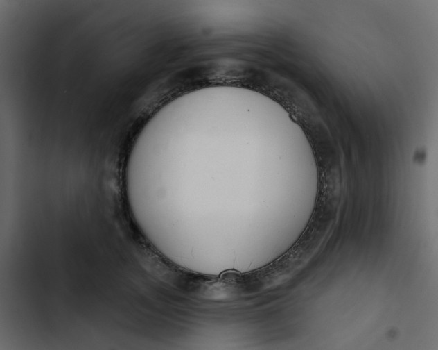 X0000102850755200809021400