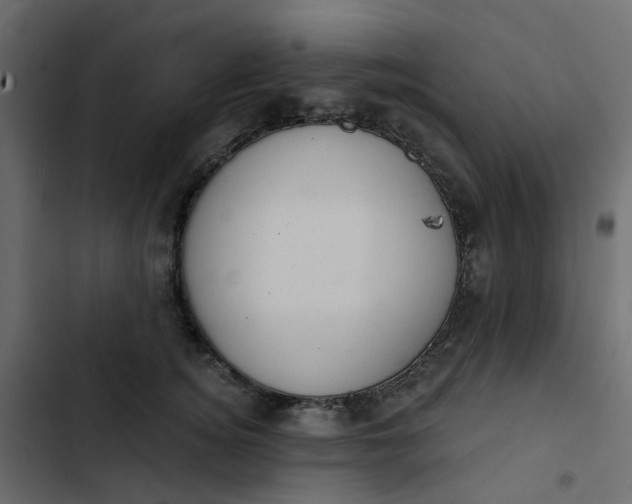 X0000102850756200809021400