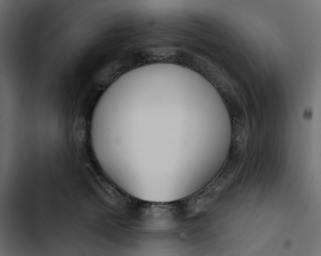 X0000102850758200809021400