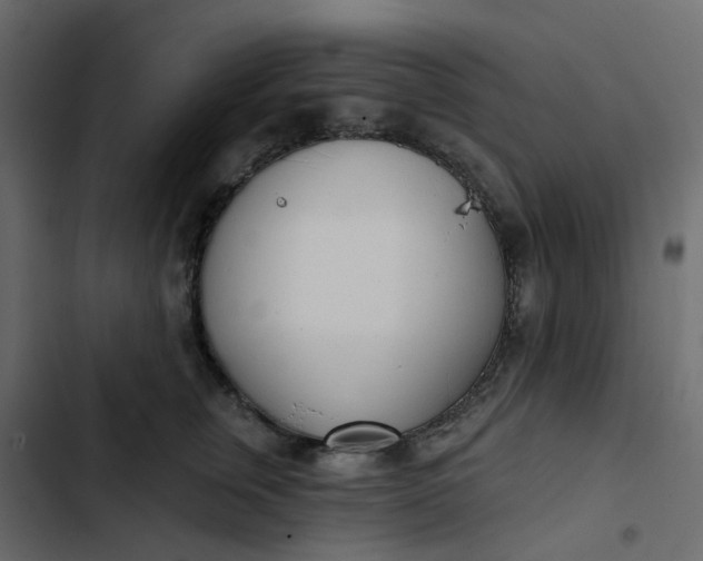 X0000102850759200809021400