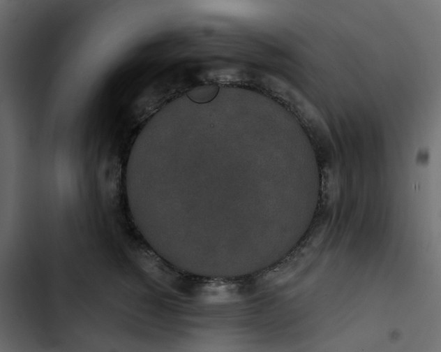 X0000102850760200809021400