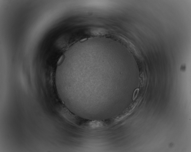 X0000102850762200809021400