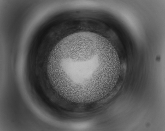 X0000102850765200809021400