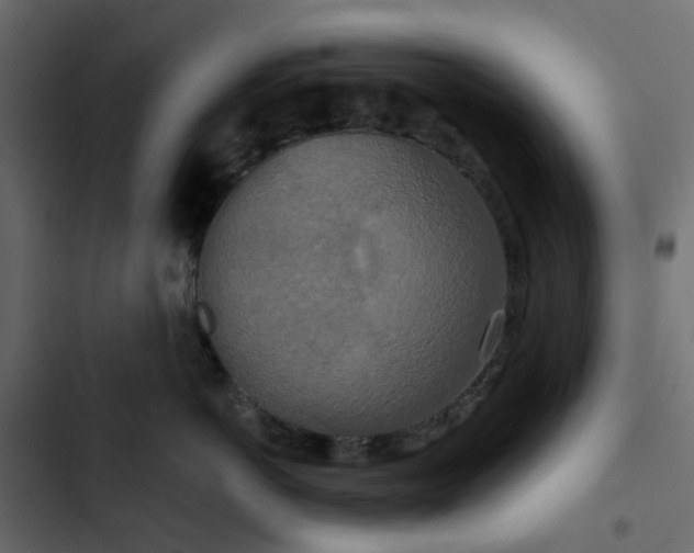 X0000102850766200809021400