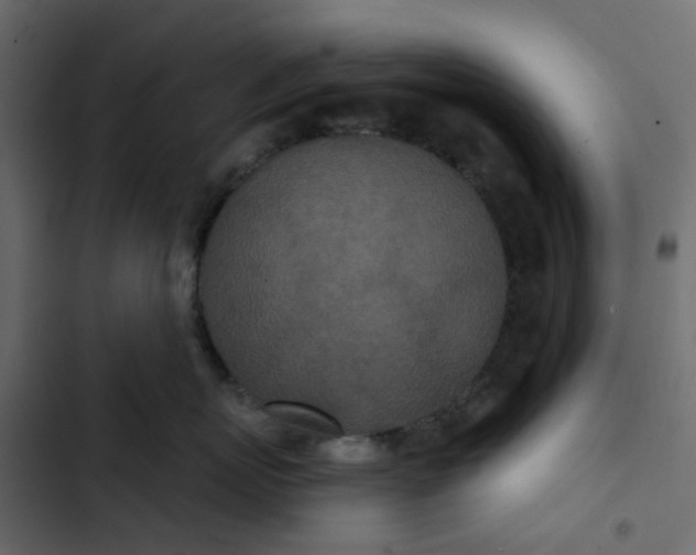 X0000102850767200809021400