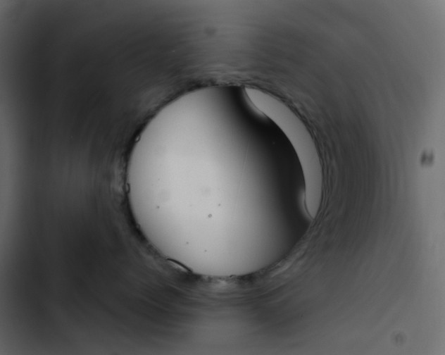 X0000102850768200809021400