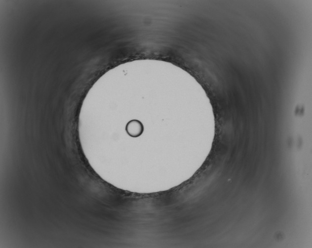 X0000102850769200809021400