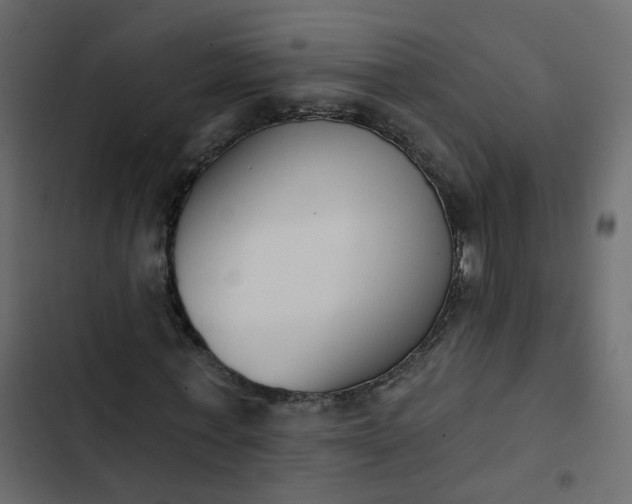 X0000102850771200809021400