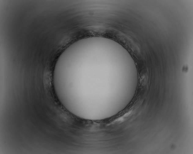 X0000102850772200809021400