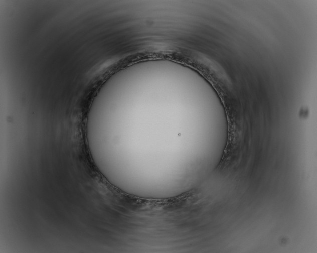 X0000102850773200809021400