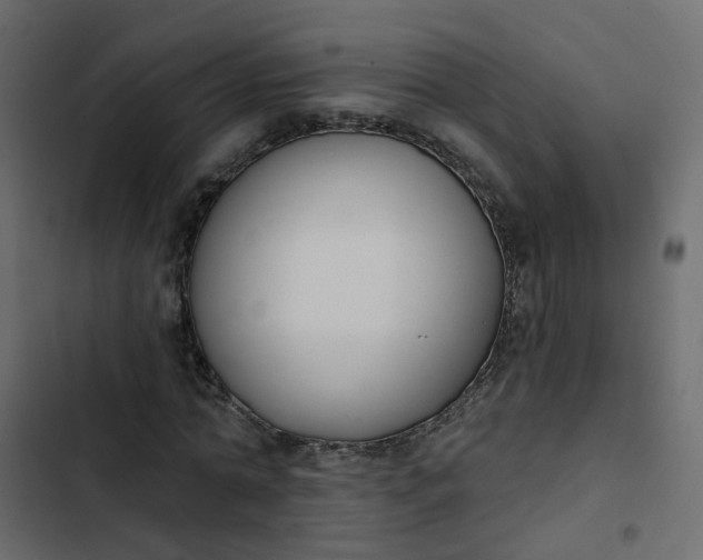 X0000102850774200809021400