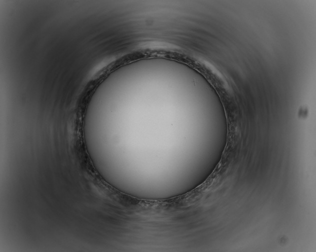 X0000102850775200809021400