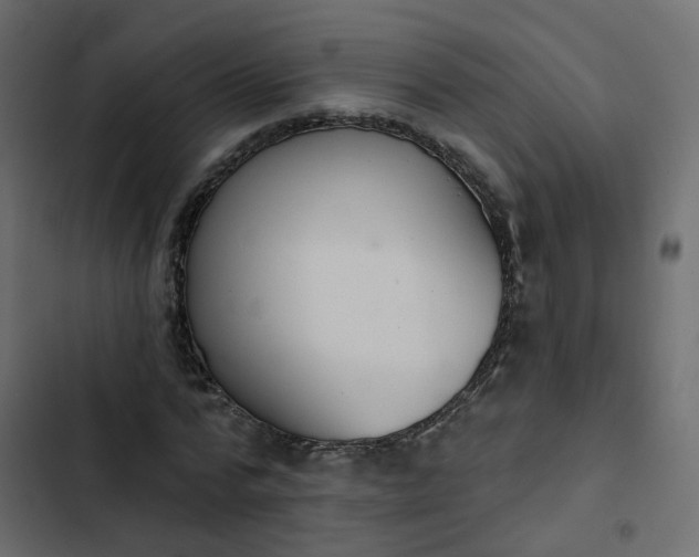 X0000102850776200809021400