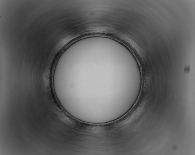 X0000102850778200809021400