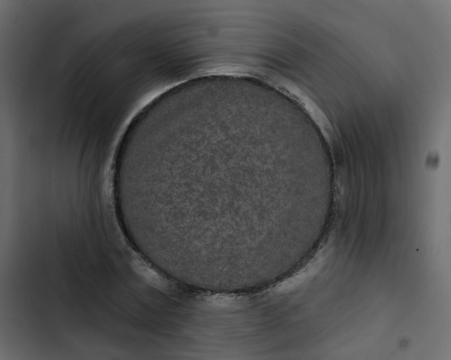 X0000102850779200809021400