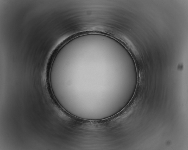 X0000102850780200809021400