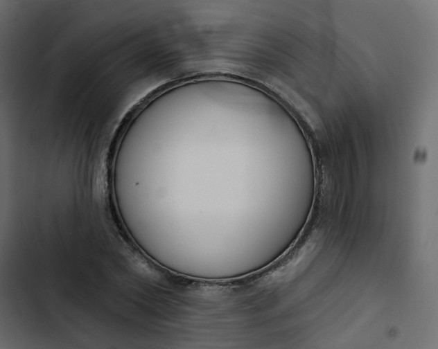 X0000102850782200809021400