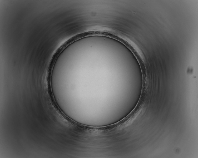 X0000102850783200809021400