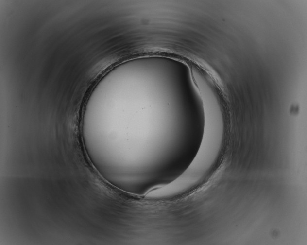 X0000102850785200809021400