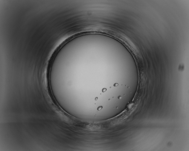 X0000102850788200809021359