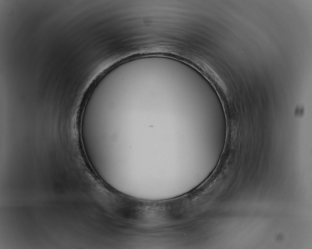 X0000102850789200809021359