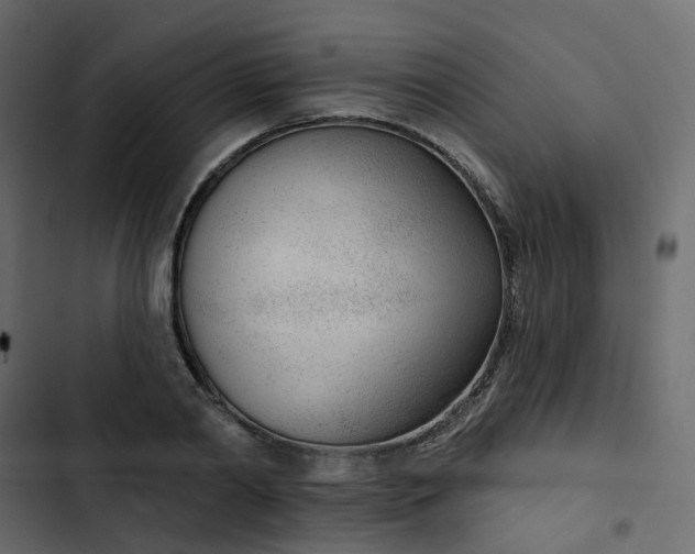 X0000102850790200809021359