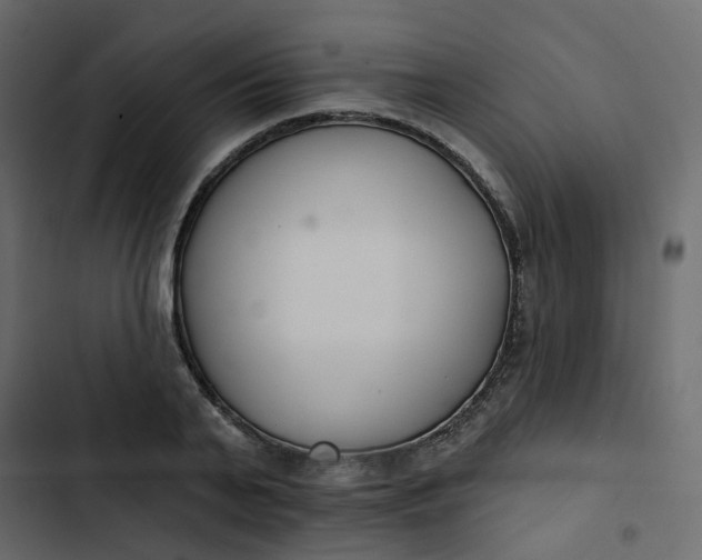 X0000102850791200809021359