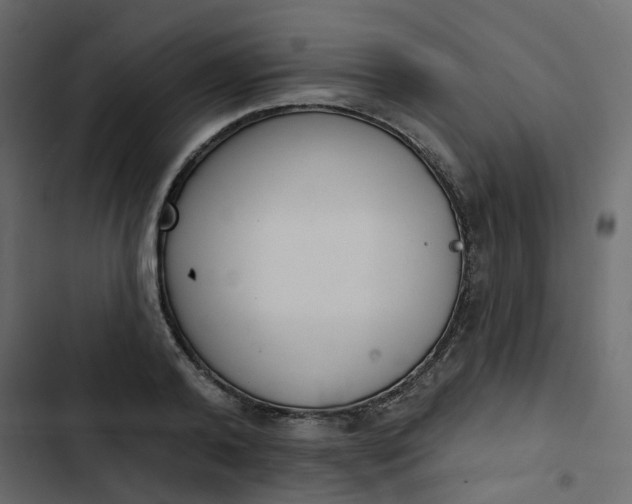 X0000102850792200809021359