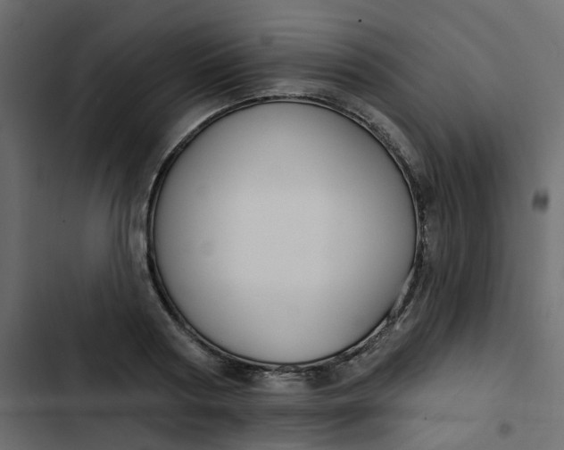 X0000102850794200809021359