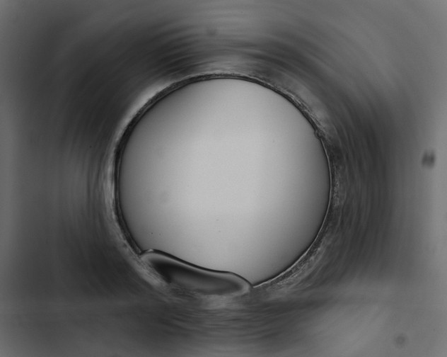 X0000102850796200809021359