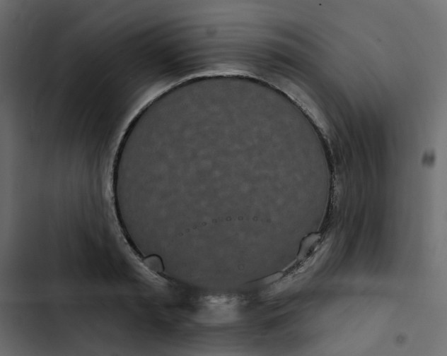 X0000102850797200809021359