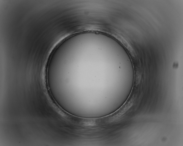 X0000102850798200809021359