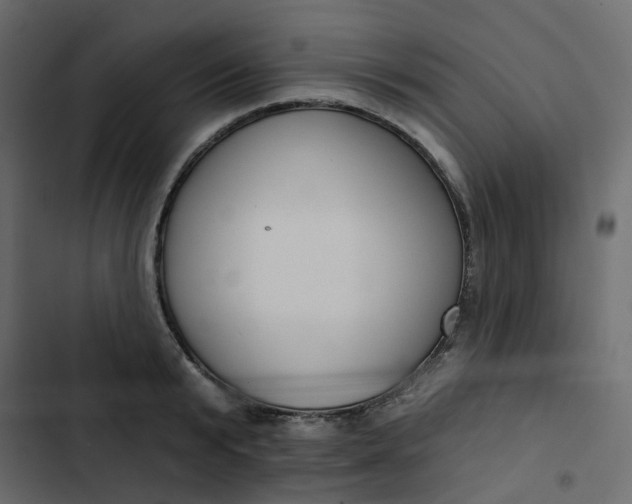 X0000102850799200809021359