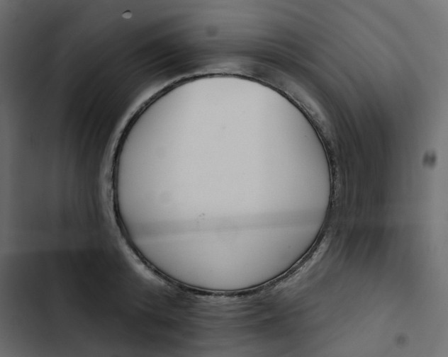 X0000102850800200809021359