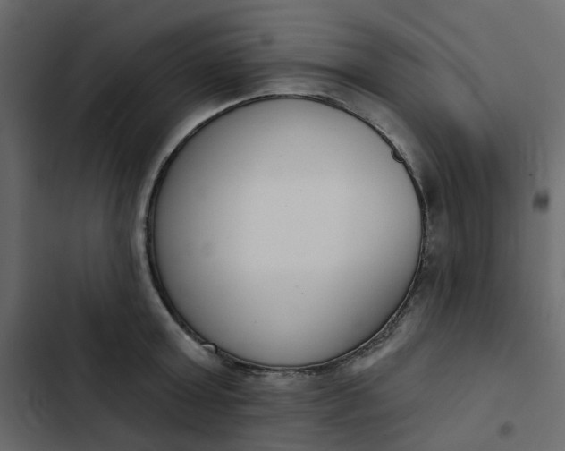 X0000102850803200809021359