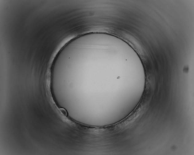 X0000102850804200809021359