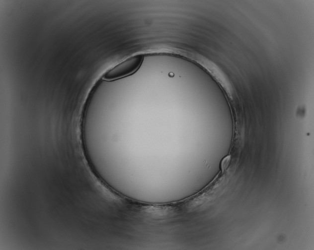 X0000102850805200809021359