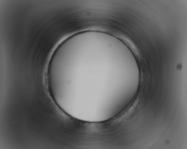 X0000102850808200809021359