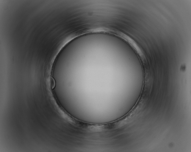 X0000102850810200809021359