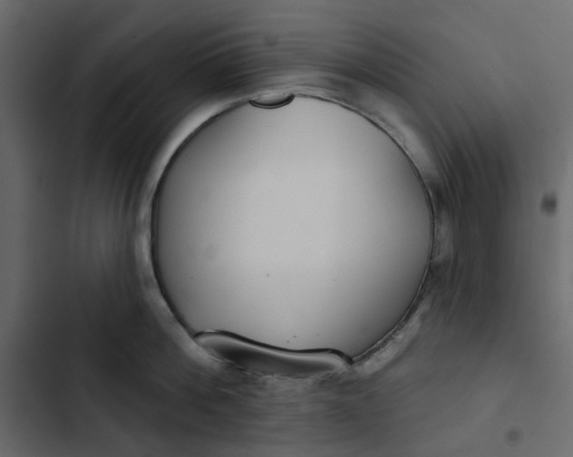 X0000102850812200809021359