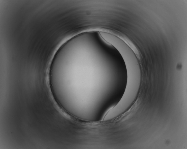 X0000102850813200809021359