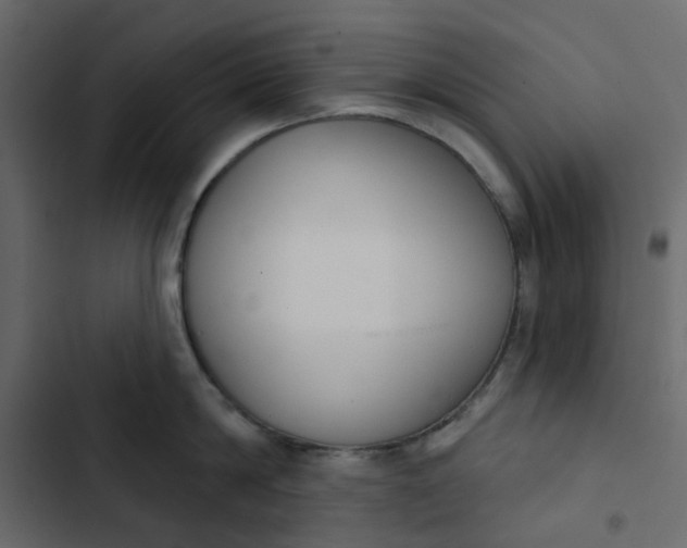 X0000102850814200809021359