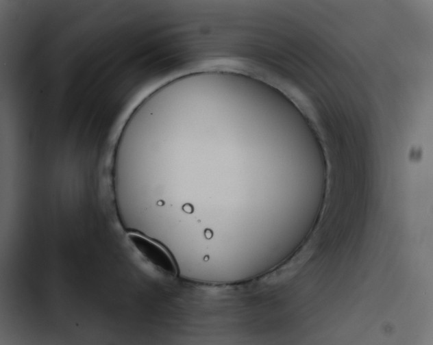 X0000102850816200809021359