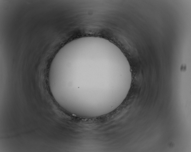 X0000102850817200809021358