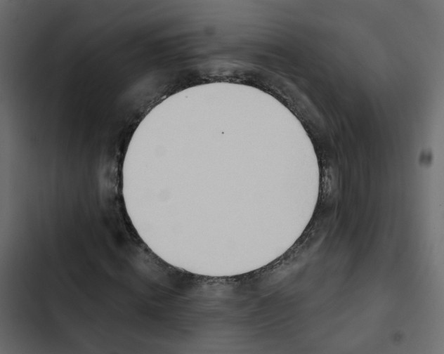 X0000102850820200809021358