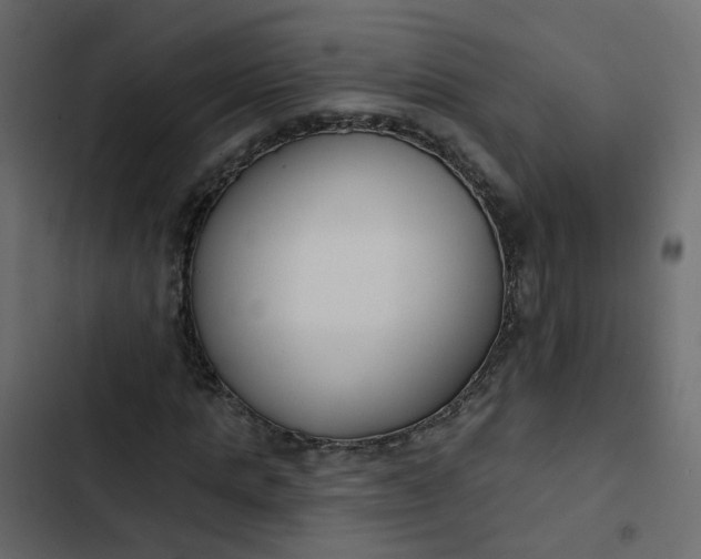 X0000102850821200809021358