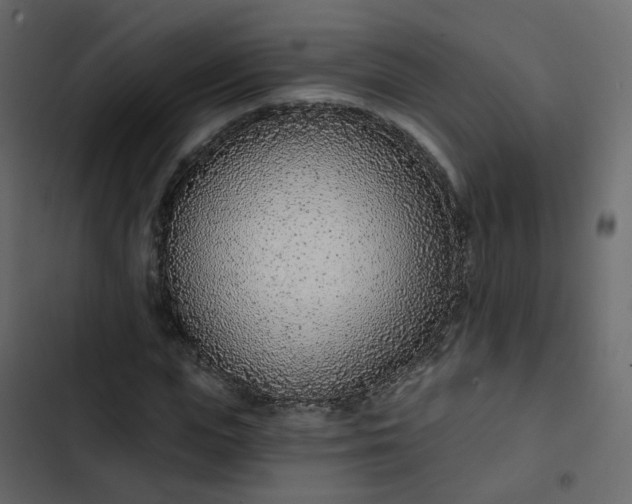 X0000102850823200809021358