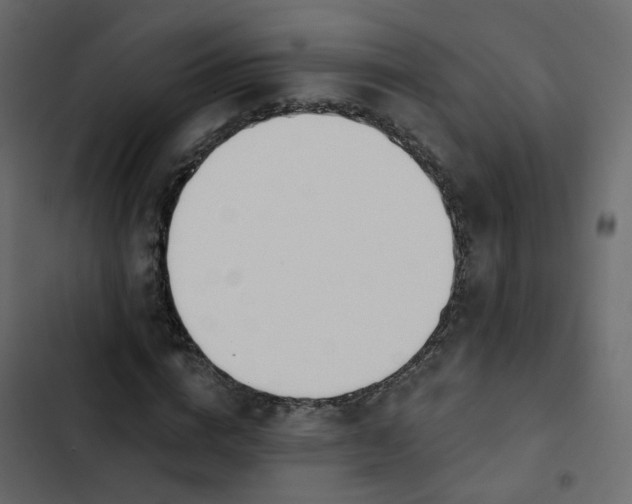 X0000102850824200809021358