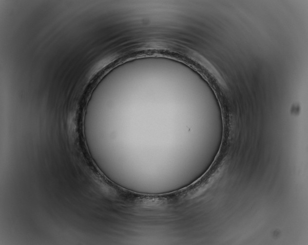 X0000102850826200809021358