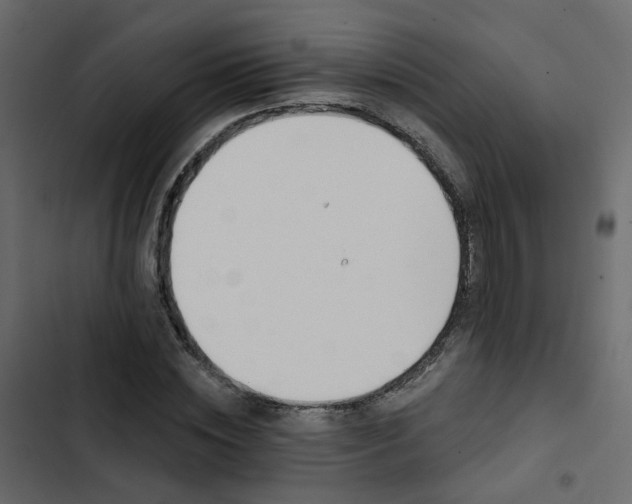 X0000102850828200809021358